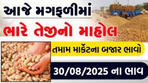 peanuts latest market price