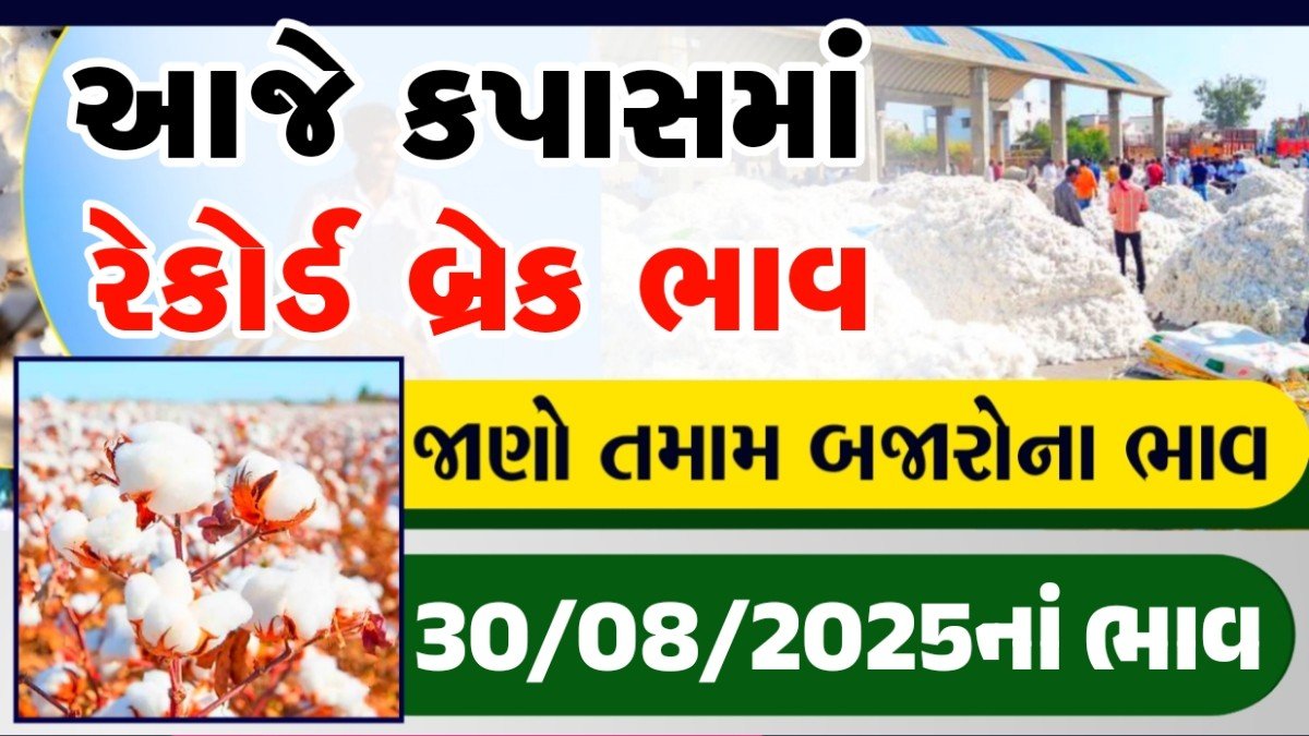 cotton market live