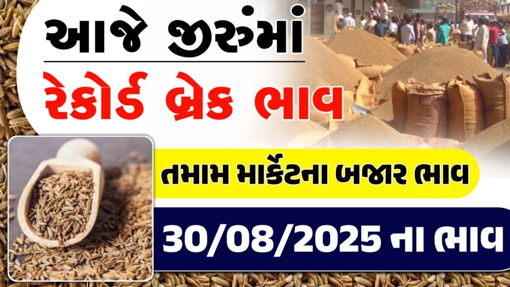 cumin market price