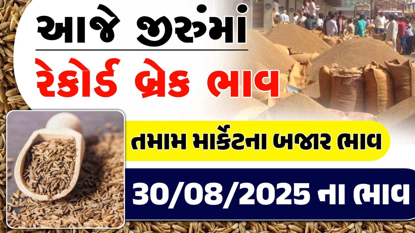 cumin market price