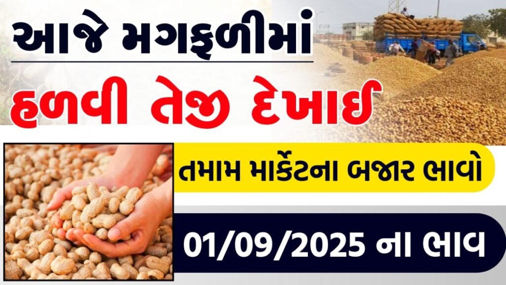 New prices of peanuts