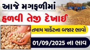 New prices of peanuts