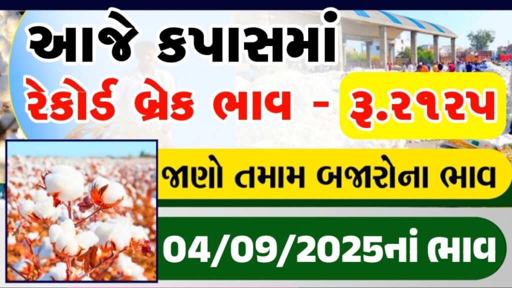 આજના કપાસના ભાવ
