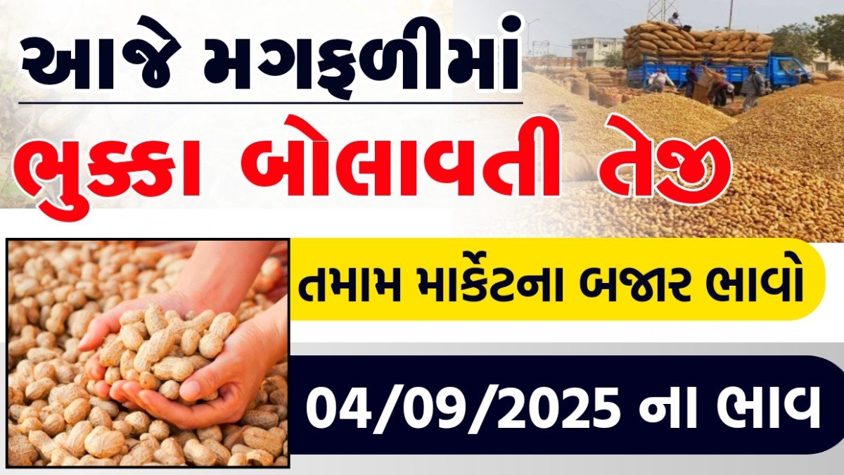 આજના મગફળી ના ભાવ