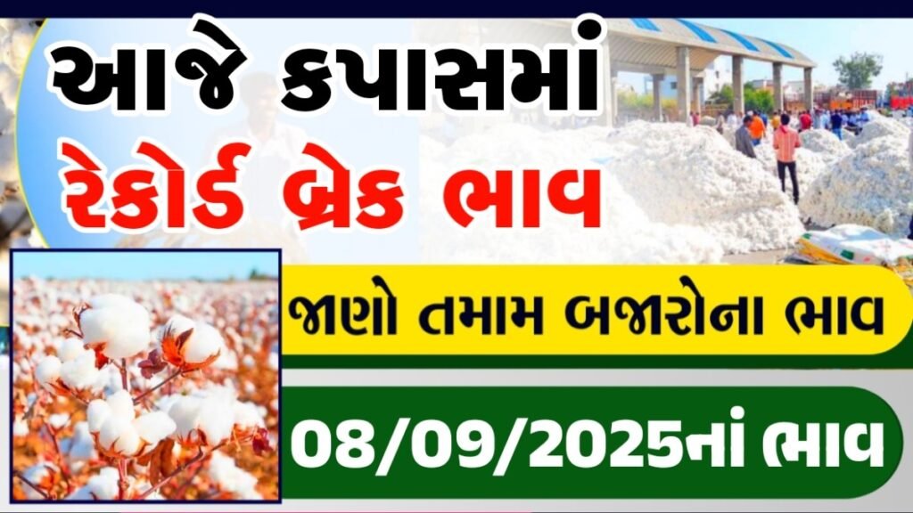 kapas bhav botad