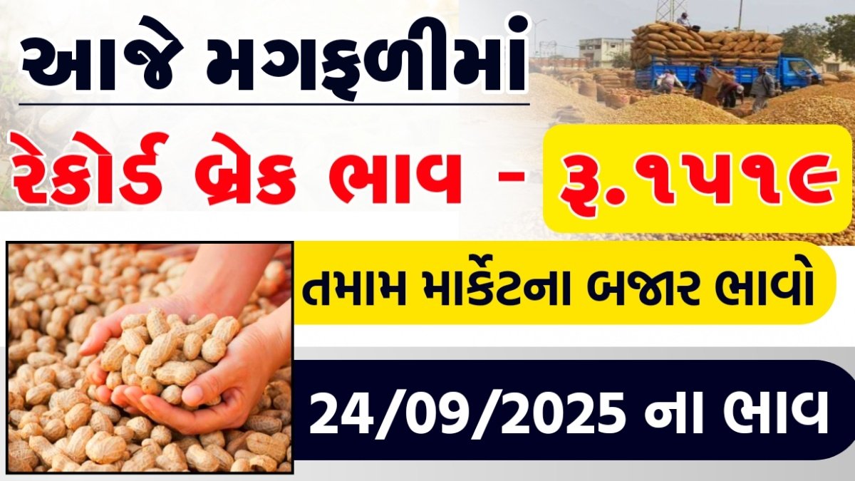 mungfali market price