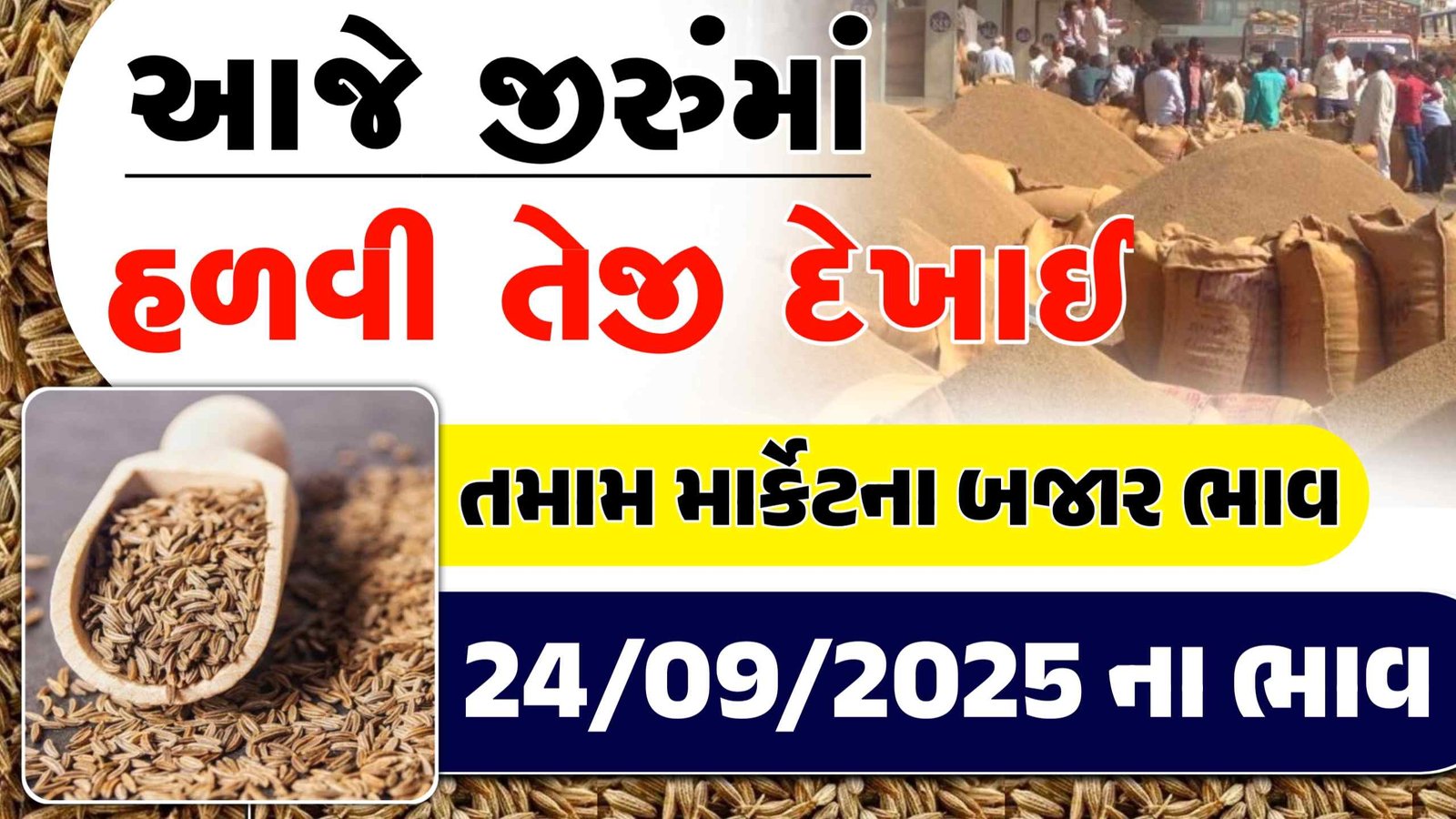 jeera market price