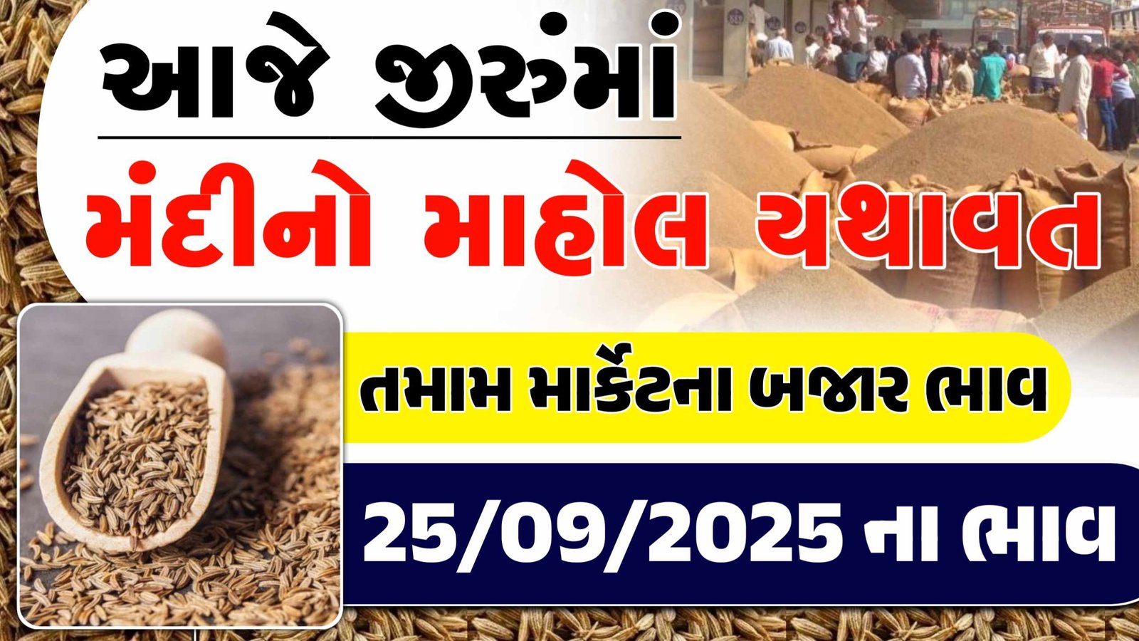 jeera price today