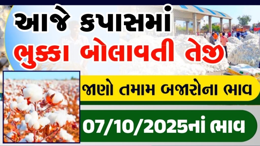 ttps://IndiaMART.in/v/MdO673xR