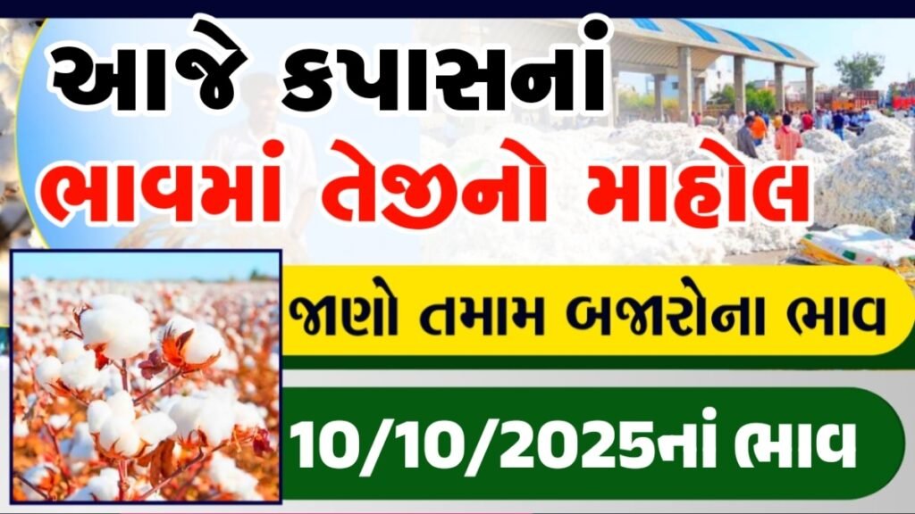 cotton price today