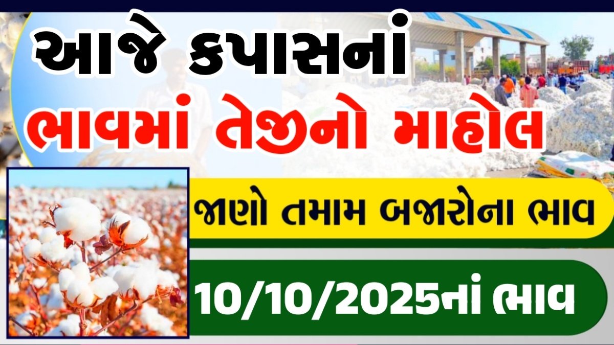 cotton price today